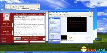 xp123国产